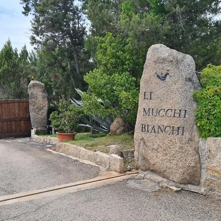 Mucchi Bianchi Lc-104